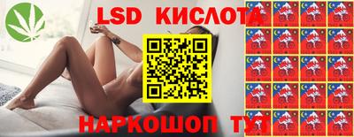 стафф Берёзовский