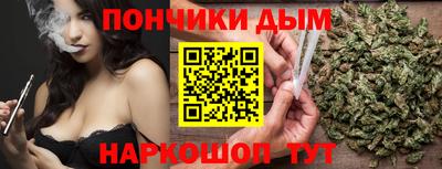 дмт Бийск