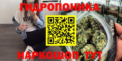 стафф Берёзовский