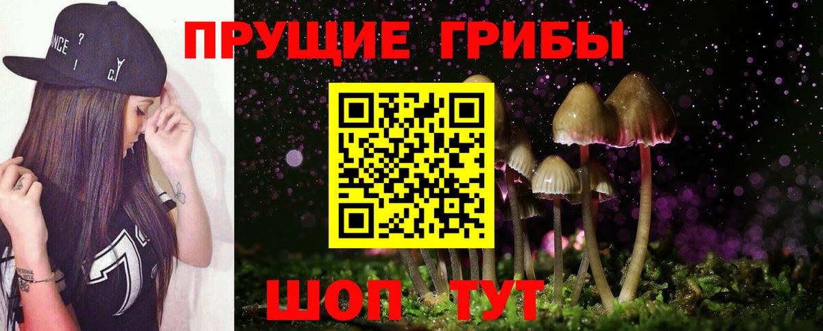 Псилоцибиновые грибы GOLDEN TEACHER Клинцы