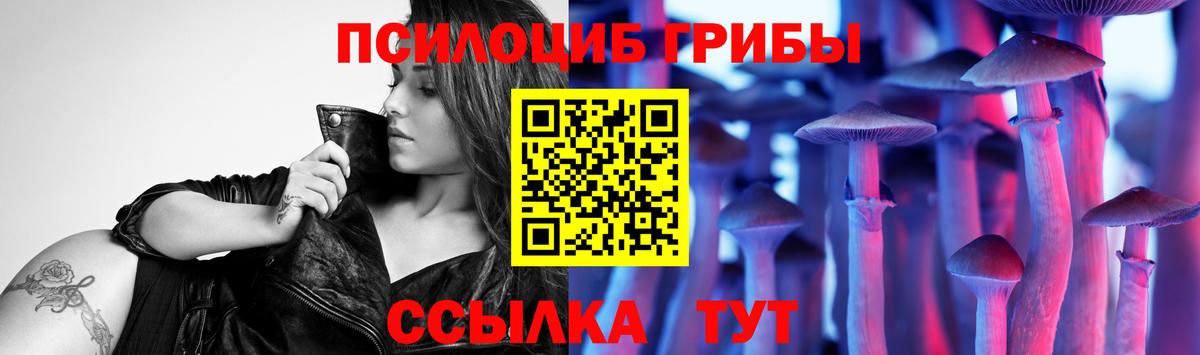 Клинцы  дарнет шоп  Вход с VPN  Псилоцибиновые грибы Psilocybe 